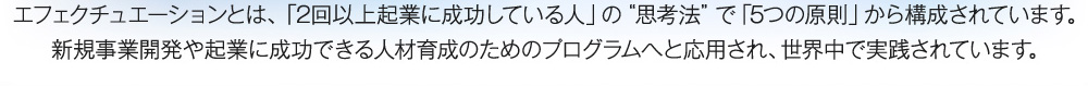 エフェクチュエーションとは、「2回以上起業に成功している人」の思考法で「5つの原則」から構成されています。